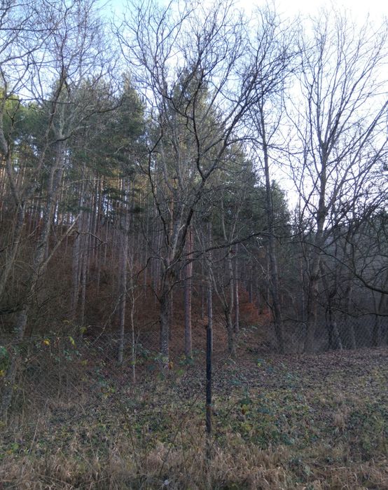 Продава се Къща в Кюстендил, Върташево - 78 кв.м за 386 €/кв.м - Снимка #8