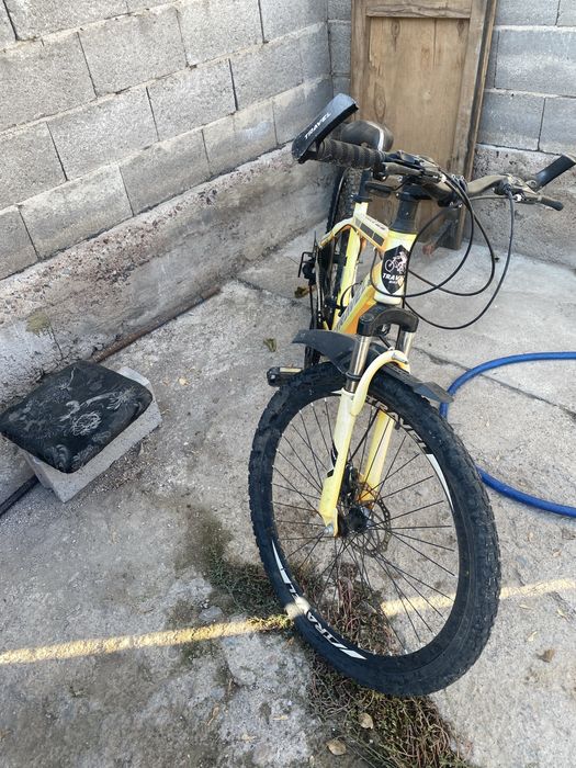 Белик жаңа ну күнде тұрып қалған