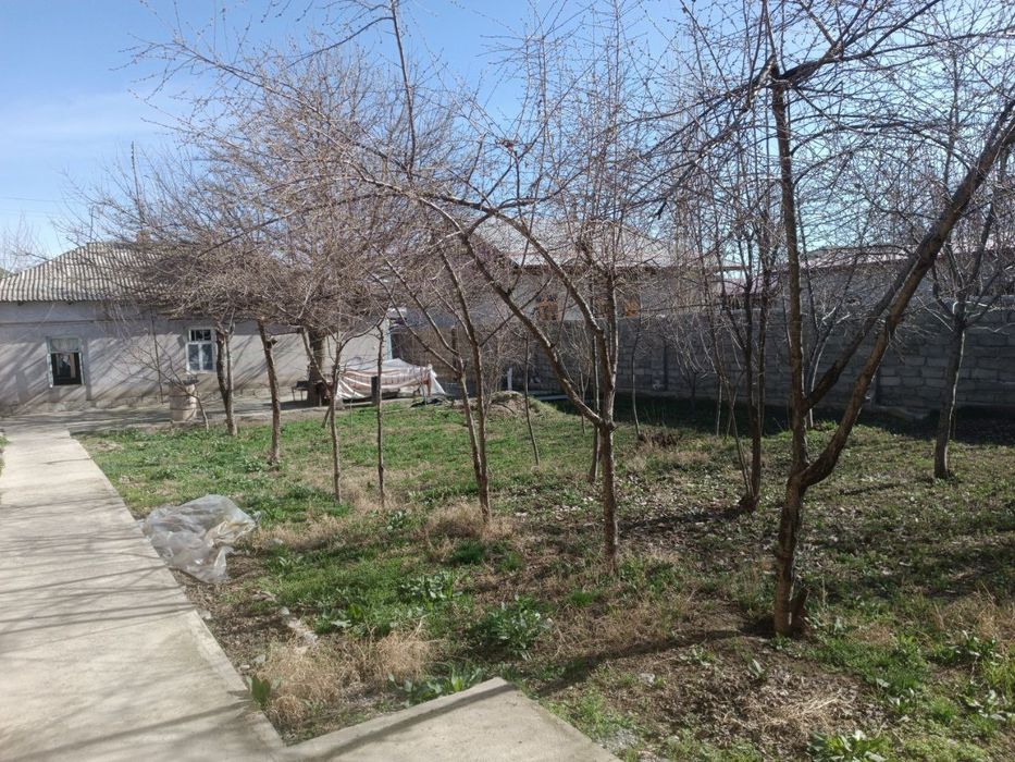 Жиззах  Зомин уй жой