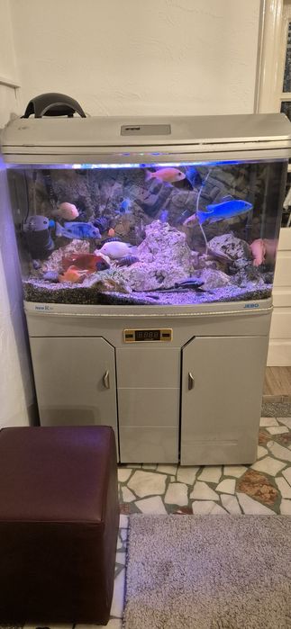 Vând acvariu 250 l
