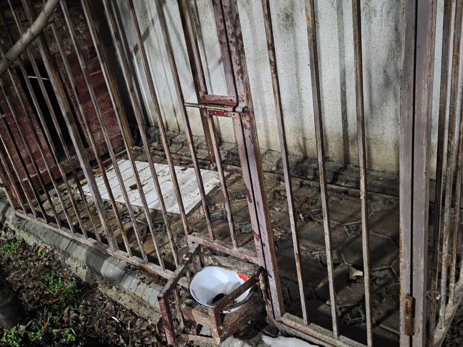 Вальер для собак