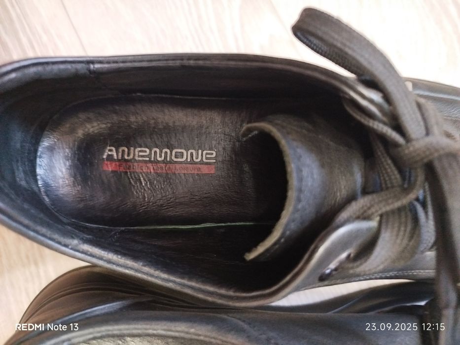 Полуботинки Anemone RLOG1D-12