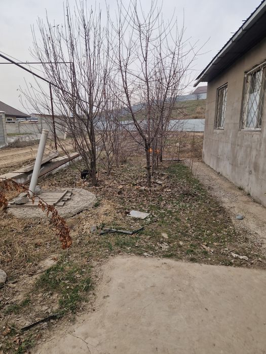 Продам дом в коксае