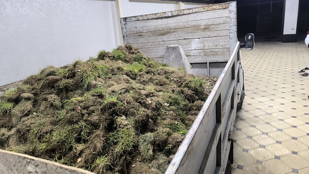 Выаоз Мусора 24/7 +Доставка