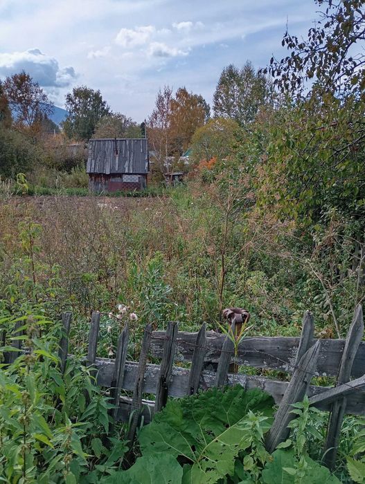 Продам дачу в с/о Медик 1