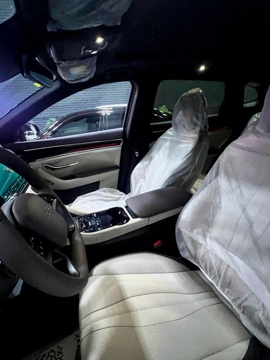 BYD champion 2025 SMART+