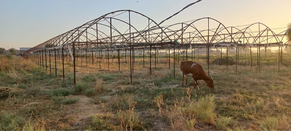 Продается срочно Дом с теплицей