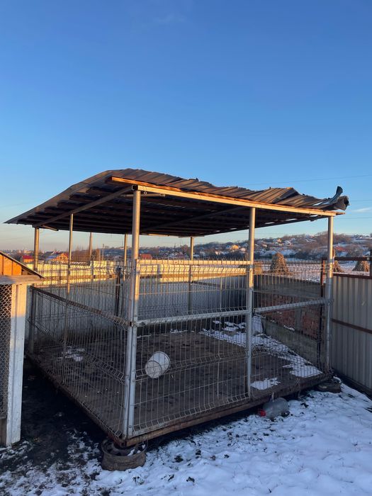 Vând cușcă pentru câini