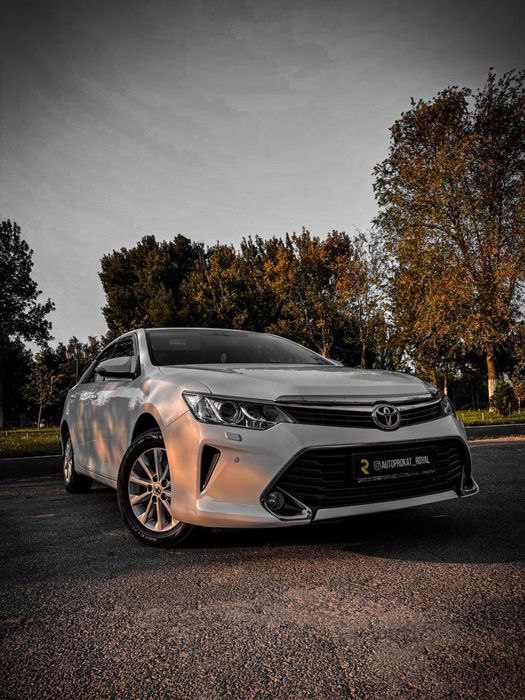 Аренда прокат авто без водителя