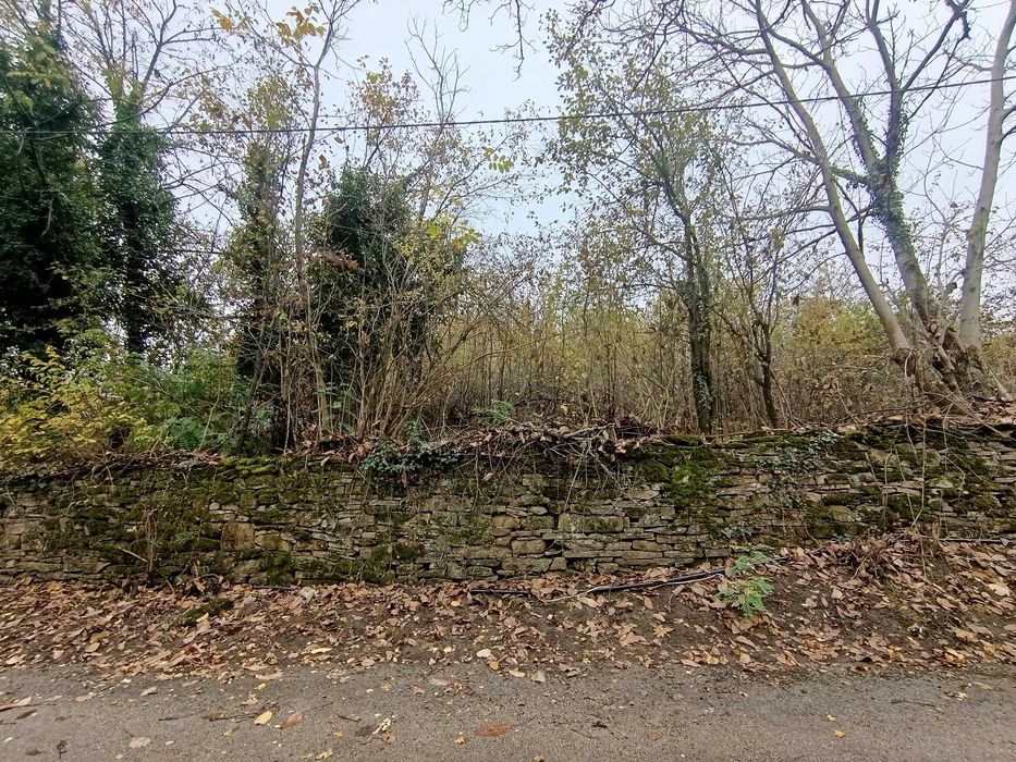 парцел в регулация