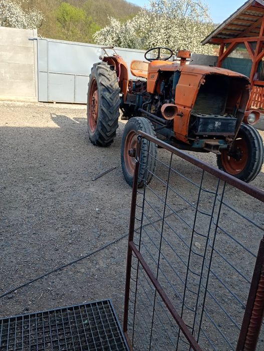 Tractor fiat 615 de vânzare  în Milova adus recent din Italia