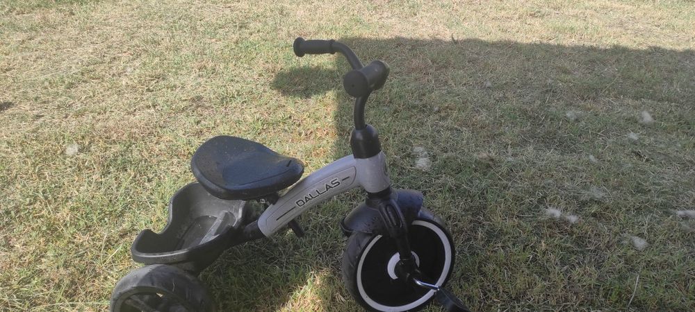 Триколка Lorelli Dallas