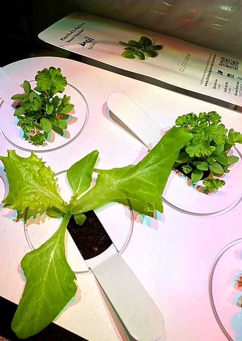 Sistem Smart Garden 9 (Bej) - Nou, Cultivă Fără Efort