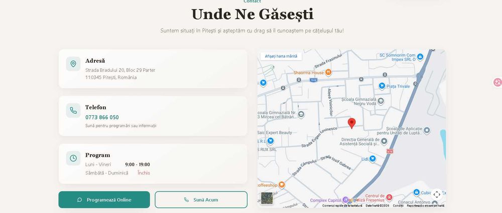 WebSite Pentru Afacerea Ta