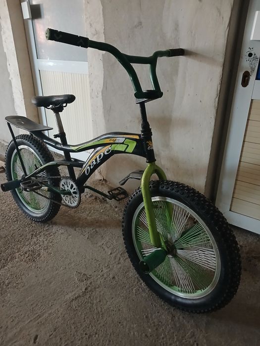 Барс велик сотилади