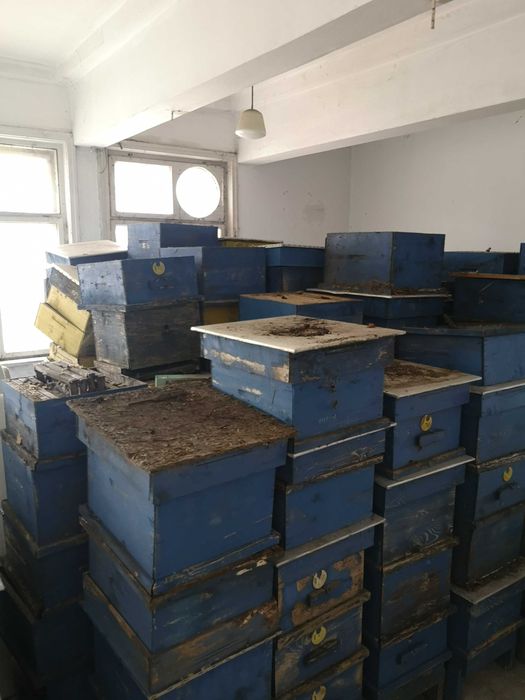 Продавам пчелни кошери