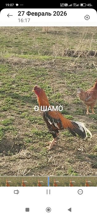 Сатлады сатлады.