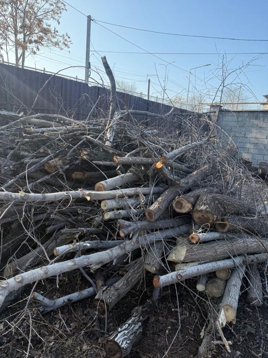 Тегін отын бар.  Бесплатные дрова