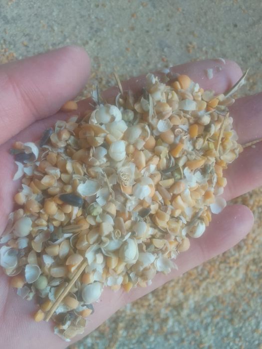 Отходы Зерноотходы Полова Отруби Сечка