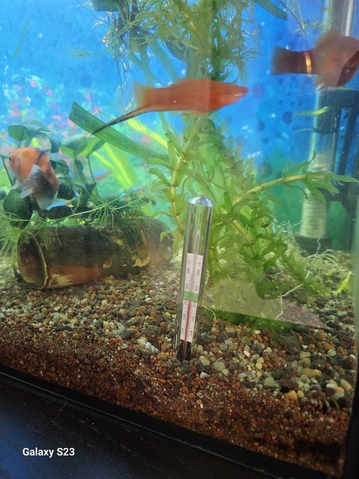 Acvariu complet echipat 75 litri