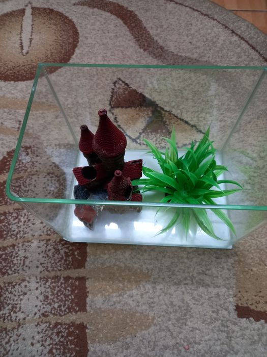 Vând acvariu și accesorii. O planta și un castel.