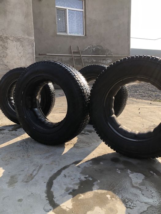 Нива шина шымкентте тур