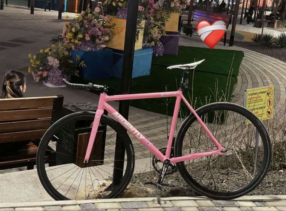 frameset Ardently Arena Lite