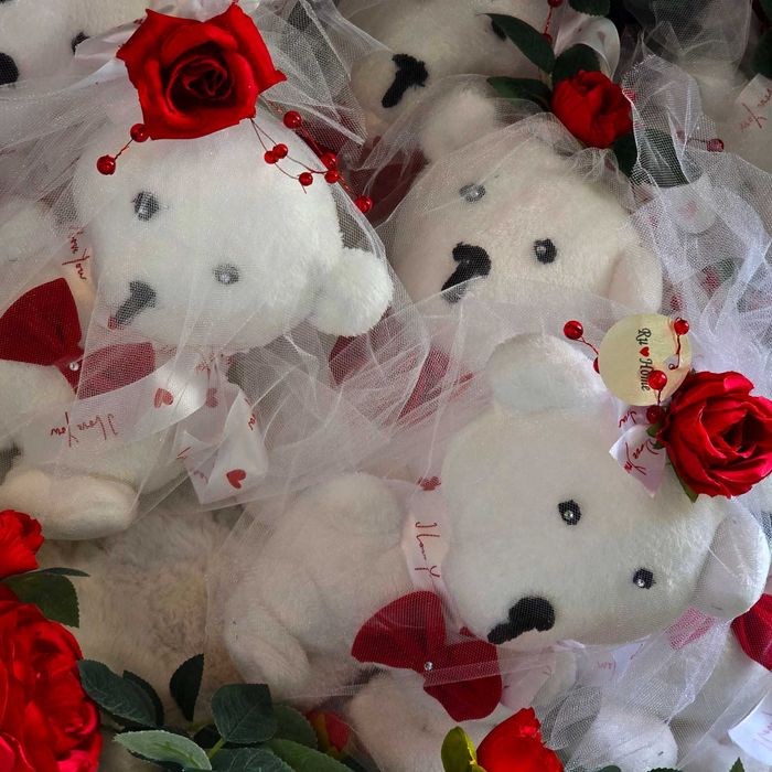 Ursuleti polari cu trandafir