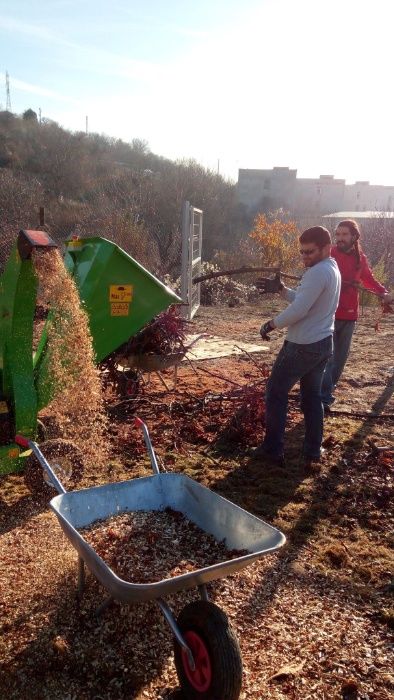 Градински услуги, рязане на дървета и косене на трева