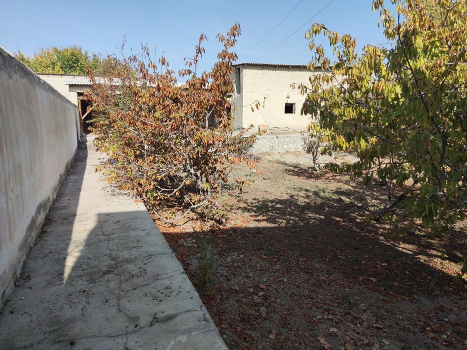 Buxoro vil Vobkent tum Soʻfidehqon qishlogʻidagi  hovli sotiladi.