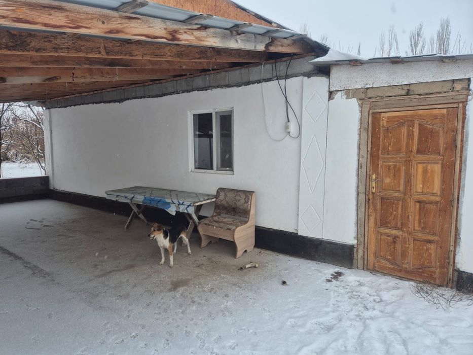 Фазенда 36 гектаров