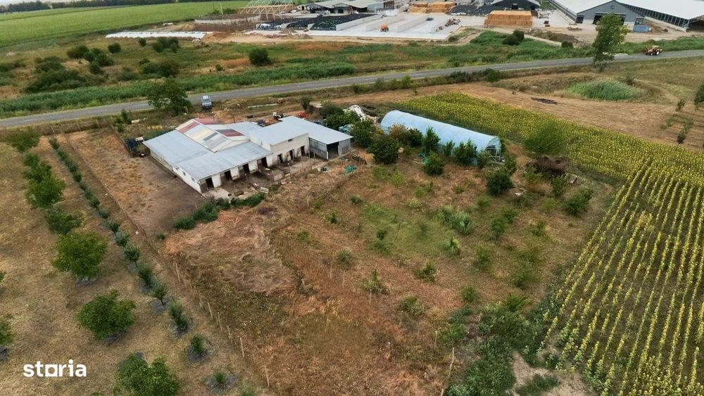 Livadă de 3,6 hectare în Iratoșu – Oportunitate