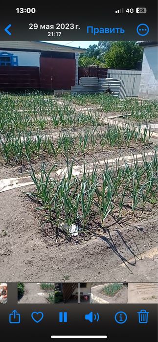 Продам 2 дачи на массиве «Солнечная долина»