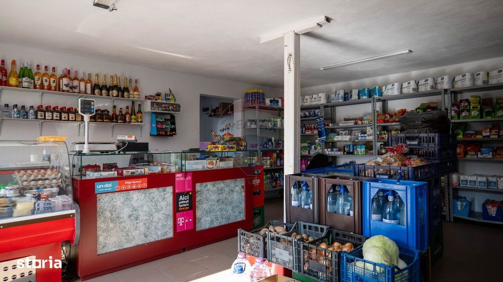 Vanzare vila si spațiu comercial, gradina si garaj-zona Corbii Mari