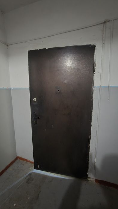 Дверь металическая