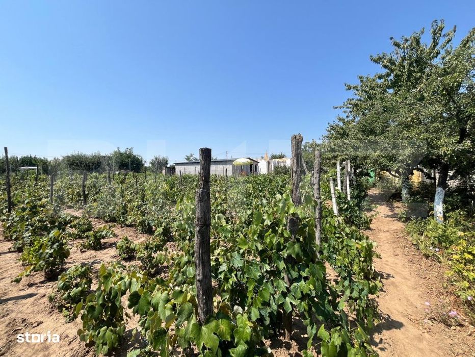 Teren 1021 mp, zona Hanul Doctorului