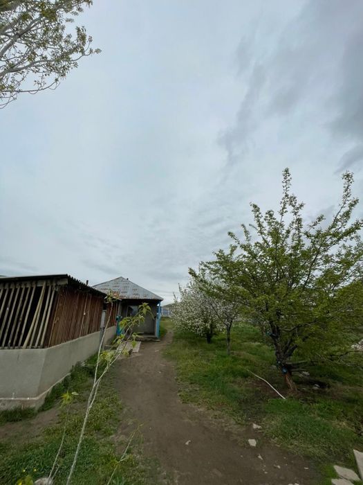 Сарай 150 га, хозяйство