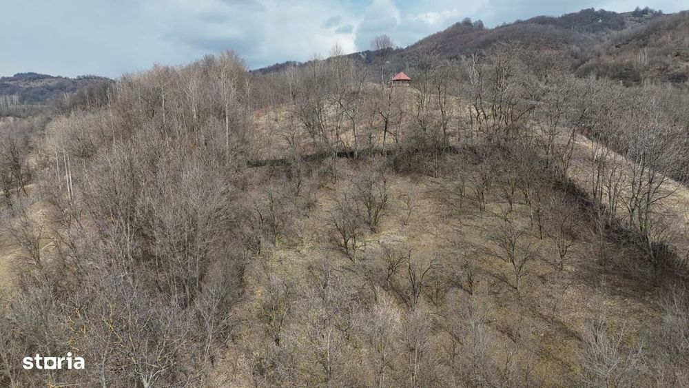 Oportunitate investitie teren  – Cerasu, Prahova | 3.485 mp | View s
