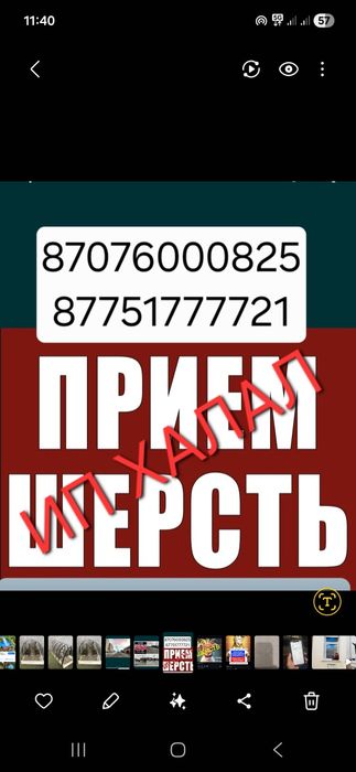 Шесть козье ешкы жуны