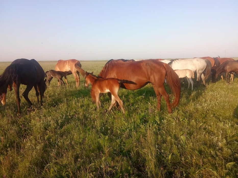 Срочно продаётся.