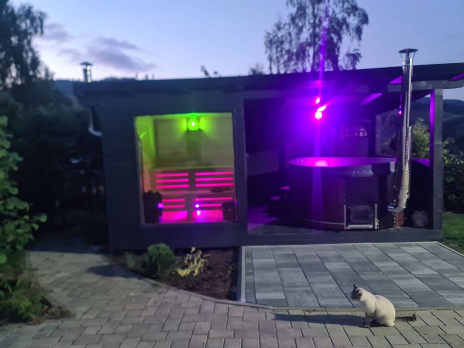 Cazare Casa Daria Vatra Dornei