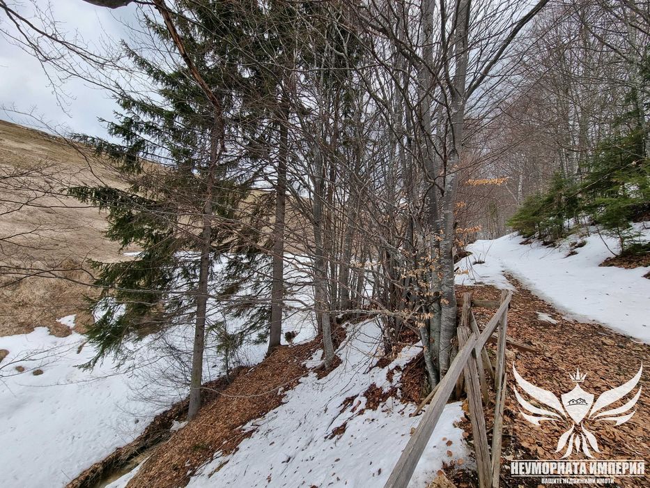 Продавам парцел 1500кв.м. в село Проглед, общ.Смолян статут УПИ