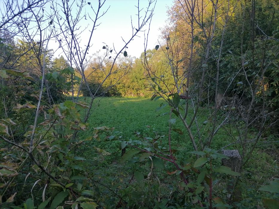 Продава се Къща в Берковица - 60 кв.м за 85 €/кв.м - Снимка #6