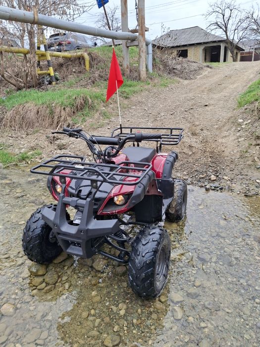 Vănd atv 110cc pentru copii
