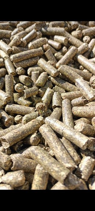 Жоңышқа грануласы