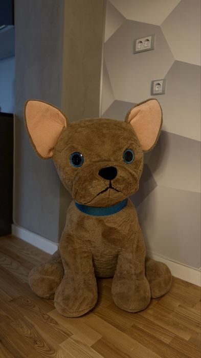 Vand usulet (Catel) de plus mare de 1 metru