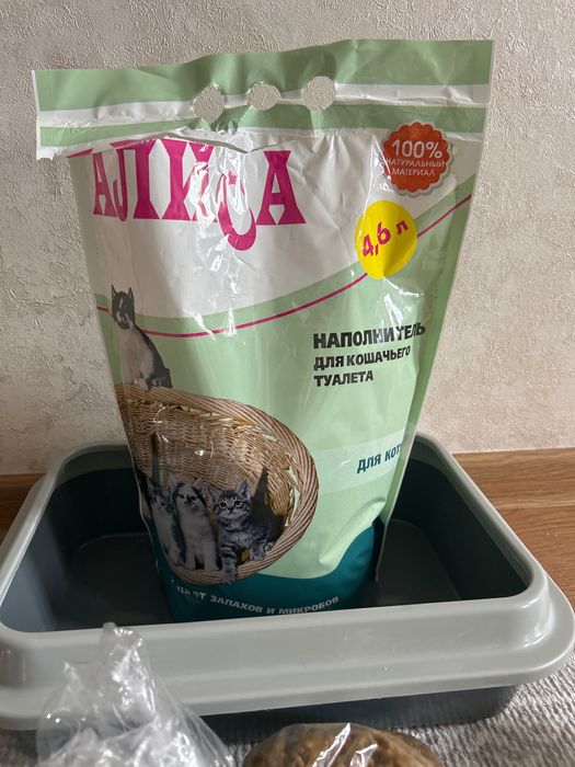 товары для котёнка