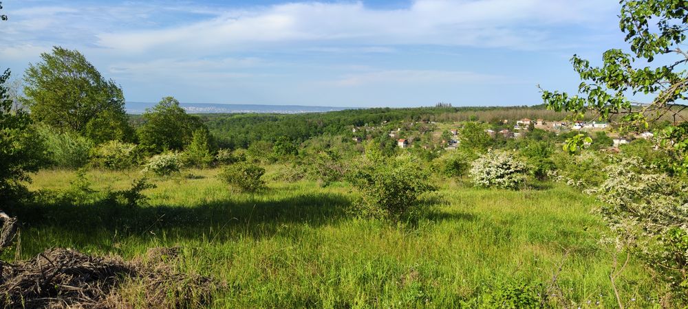 Дава се под наем Парцел в с. Бенковски, Област Варна - 5345 кв.м за 997.05 € - Снимка #3