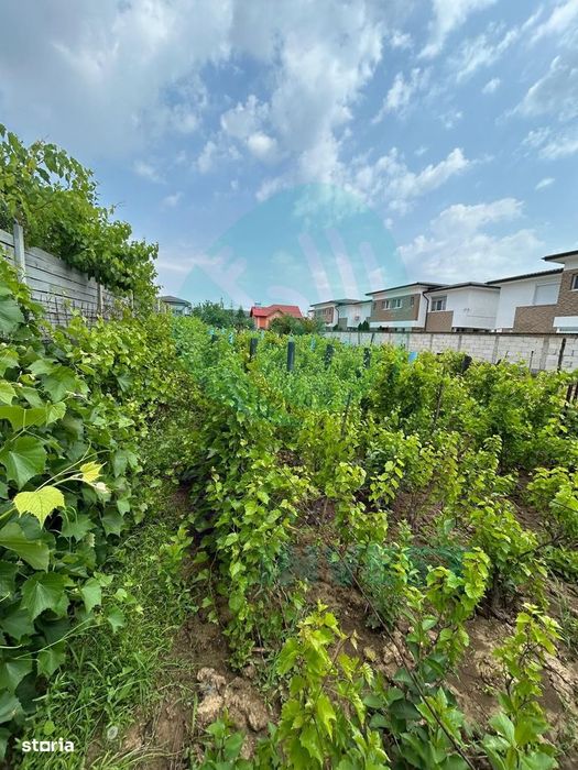 Teren cu utilități,  zonă în dezvoltare – Popești