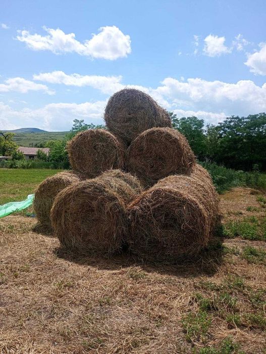 De vânzare baloți de lucernă